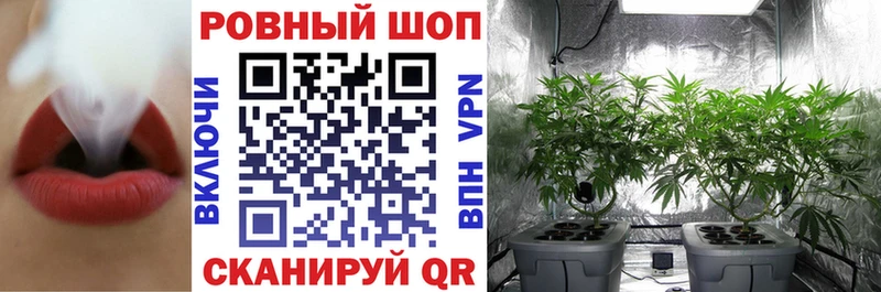 Наркота Данков Каннабис  А ПВП  ГАШ  Кокаин 