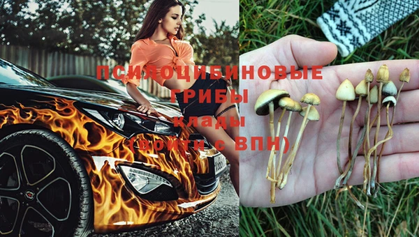 МДМА Алексеевка
