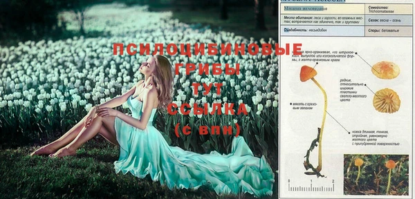 МДМА Алексеевка