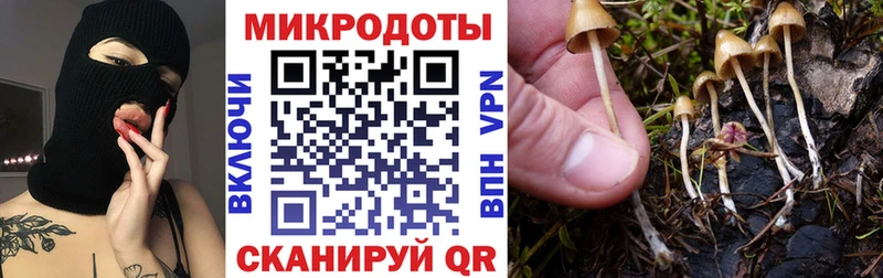 сколько стоит  Данков  Галлюциногенные грибы мицелий 